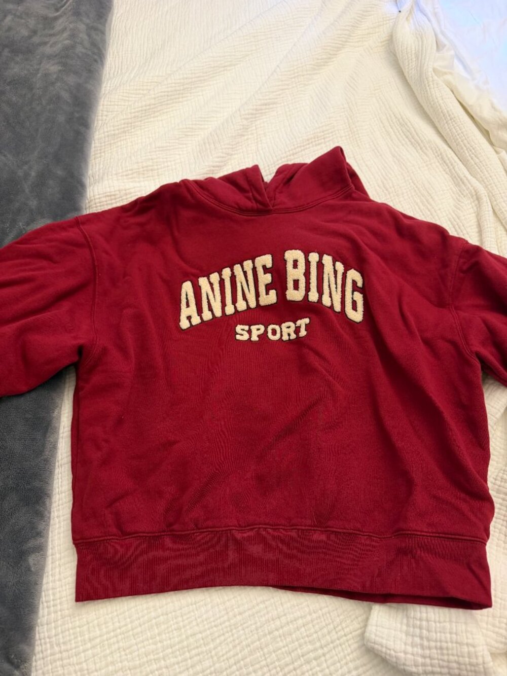 Anine Bing Alec Hoodie - Picture 2 of 3